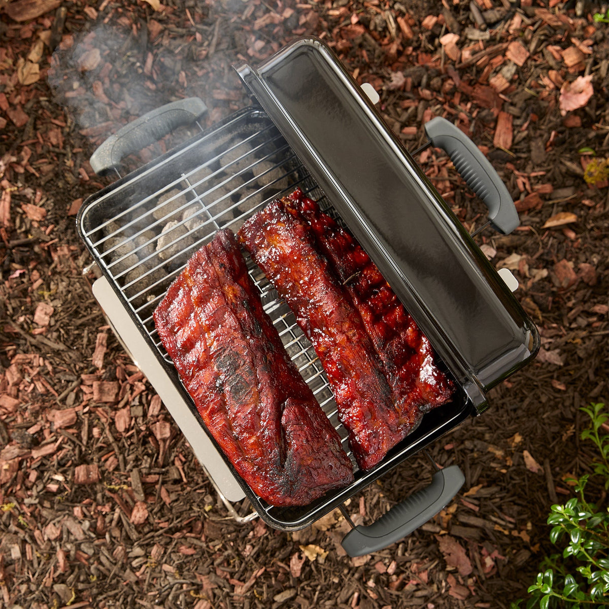 Weber Go-Anywhere® Charcoal Grill